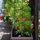 4 Pack Garden Trellis for Climbing Plants for Flower Vegetable by LJGDeals