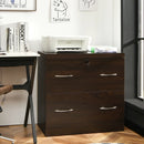 2-Drawer File Cabinet with Lock Hinging Bar Letter and Legal Size by LJGDeals