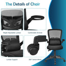 Ergonomic Desk Chair with Lumbar Support and Flip up Armrest-Black by LJGDeals