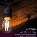 SL101 3000K Warm White LED Low Voltage Bistro String Lights 48 FT Outdoor Weatherproof 12V Edison Bulbs by Kings Outdoor Lighting