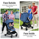 2-in-1 Convertible Aluminum Baby Stroller with Adjustable Canopy by LJGDeals