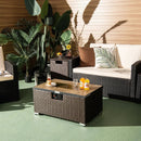32 x 20 Inch Propane Rattan Fire Pit Table Set with Side Table Tank and Cover by LJGDeals