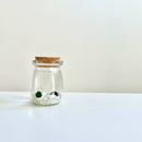 Live Moss Balls Mini Aquarium Jar