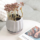6 inch Grey Glazed Ceramic Contour Planter