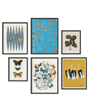 Eclectic gallery wall