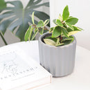 5 inch Grey Glazed Ceramic Cylinder Faux Cement Planter