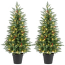 4 FT Pre-lit Christmas Trees with 70 Warm White LED Lights and 173 Branch Tips 2 Pack by LJGDeals
