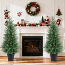 4 FT Pre-lit Christmas Trees with 70 Warm White LED Lights and 173 Branch Tips 2 Pack by LJGDeals