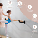 4 Feet Wall-Mounted Ballet Barre for Yoga-Black