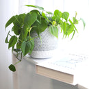 6 inch Reed Grey Round Cement Planter