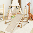 4-in-1 Indoor Jungle Gym with Baby Swing and Climbing Ramp