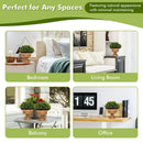 4 Pack Artificial Boxwood Topiary Trees by LJGDeals