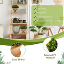 4 Pack Artificial Boxwood Topiary Trees by LJGDeals