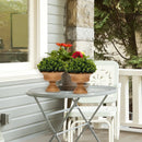 4 Pack Artificial Boxwood Topiary Trees by LJGDeals