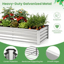 4 x 2 x 3 Feet Small Galvanized Raised Garden Bed with Greenhouse Cover by LJGDeals
