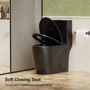 1 Piece Toilet With Tornado Flush, Dual Flush, And ADA Height Comfort Chair by HouseOfZazla