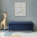 Shandra - Tufted Top Soft Close Storage Bench by HouseOfZazla