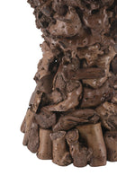 Brown Mulberry and Paulownia Wood Accent Table with Organic Tree Root Base