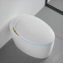 Unique Smart Toilet with Built-in Bidet