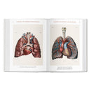 Bourgery. Atlas of Human Anatomy and Surgery (German, French, English) by TASCHEN