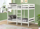 Esin - Twin Twin Bunk Bed - White by HouseOfZazla