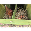 70" Automatic Chicken Coop with Solar-Powered Door by HouseOfZazla