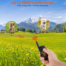 3280FT Dog Training Collar IP67 Waterproof Pet Beep Vibration Electric Shock Collar 3 Channels Rechargeable Transmitter Receiver Trainer with Flashlig by GBruno Store