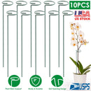 Garden Plant Support Stakes for Single Stem by LJGDeals