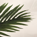6FT Artificial Golden Cane Palm Tree with Black Pot
