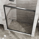 Goodyo Double Sliding Glass Shower Door 60 in. W x 72 in. H