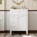 24" Bathroom Vanity with Top Sink