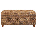 Storage Trunk - Amber