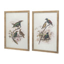 Bird Framed Print (Set of 2) - Multicolor by Unique Piece Furniture