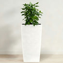 Indoor Outdoor Planter With Automatic Watering System by HouseOfZazla