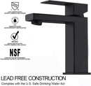 Single Handle Bathroom Faucet, Matte by HouseOfZazla