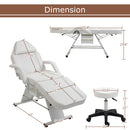 Massage Salon Tattoo Chair With Two Trays Esthetician Bed With Hydraulic Stool, Multi-Purpose 3-Section Facial Bed Table, Adjustable Beauty Barber Spa Beauty Equipment by HouseOfZazla