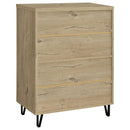 Clackamas - 2 Door Storage Cabinet With Adjustable Shelves by HouseOfZazla