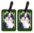 Bernese Mountain Dog Luggage Tag