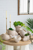 11.5x6.7x7.7" Sand and Cement Nautilus Shell Planter with Textured Beige Finish by HouseOfZazla