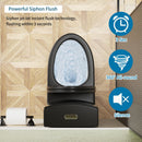 1 Piece Toilet With Tornado Flush, Dual Flush, And ADA Height Comfort Chair by HouseOfZazla