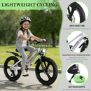 20 Inch Kids Mountain Bike