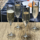 Tritan Lexington - Unbreakable Plastic Champagne Flutes, Durable Glass Alternative (Set of 4), 6Oz - Clear by HouseOfZazla