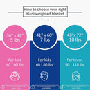 5 Lbs Kids Weighted Blanket with Cover | 36"x48" | 100% Cotton, Glass Beads by Hazli Collection