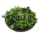 Artificial Green Wall Disc 20in – Black Frame – UV Resistant – Commercial Grade by Designer Plants USA
