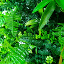 Wild Tropics Artificial Vertical Garden Green Wall Panel 40×40in 11 SQ FT – UV Resistant – Commercial Grade