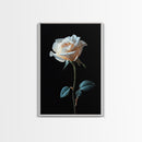 Still Life Photograph of a White Rose, Framed Canvas Print, Rose Painting, Rose Decor, Rose Wall Art, Mother's Day Gift Idea, Flower Wall Art