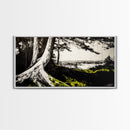 Forest Tree, Ocean View, Coastal Landscape, Canvas Print, Nature Wall Art, Black and White Art, Cabin Wall Decor, Rustic Wall Art