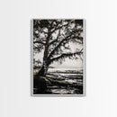 Tree Silhouette, Black White Art, Canvas Print, Dramatic Landscape, Coastal Wall Art, Nature Scene, Monochrome Decor, Minimalist Art