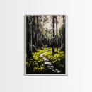 Forest, path, nature, light, Canvas Print, scenic landscape, peaceful art, living room wall art, nature lover gift, modern rustic home decor