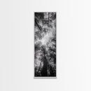 Forest Canopy, Nature Perspective, Tranquil Trees, Black and White, Framed Canvas Print, Cabin Wall Art, Scandinavian Decor, Minimalist Style